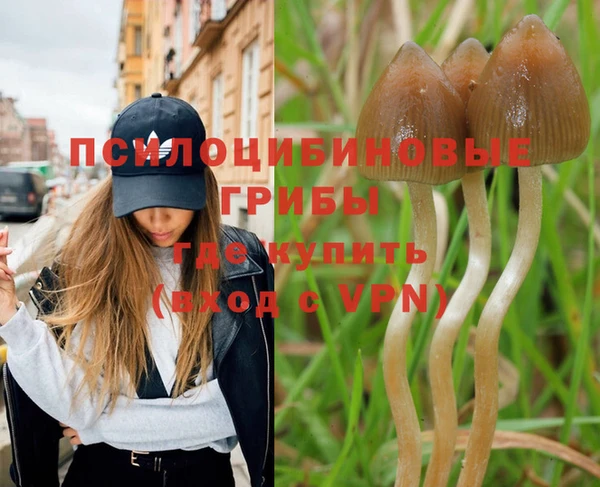 ALPHA PVP Чегем