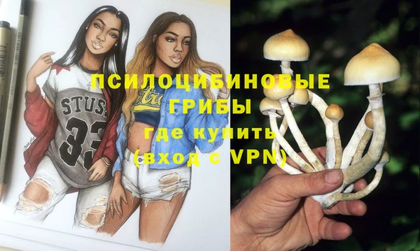первитин Чердынь