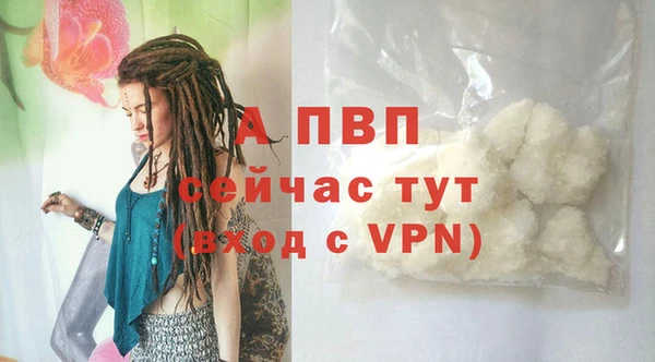 ALPHA PVP Чегем
