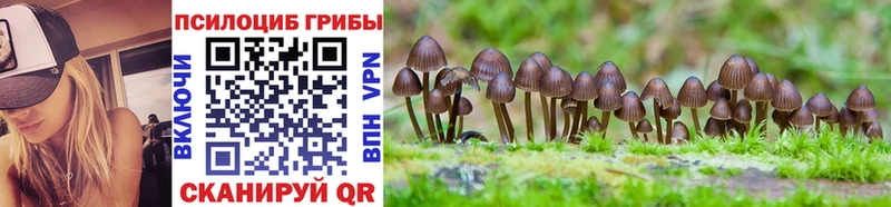 Галлюциногенные грибы Psilocybine cubensis Крым